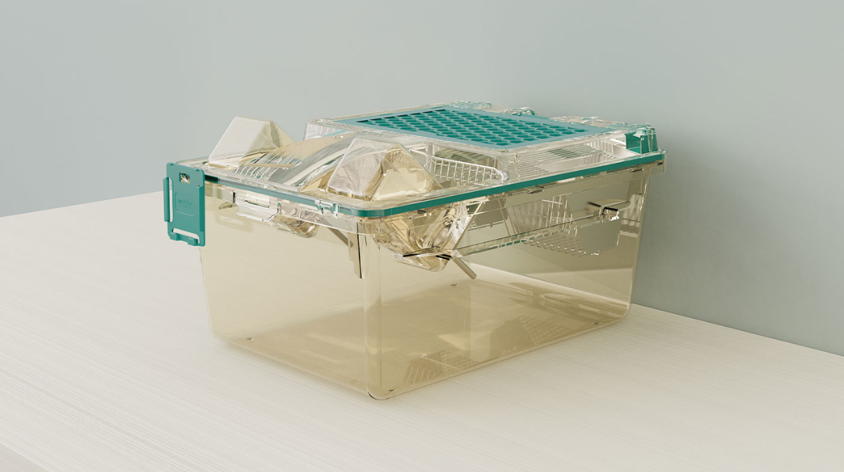 大鼠独立通气笼盒